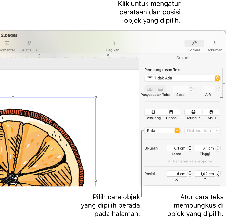 Menu Format dengan bar samping Atur ditampilkan. Pengaturan Penempatan Objek ada di bagian atas bar samping Atur, dengan pengaturan Pembungkusan Teks di bawah.