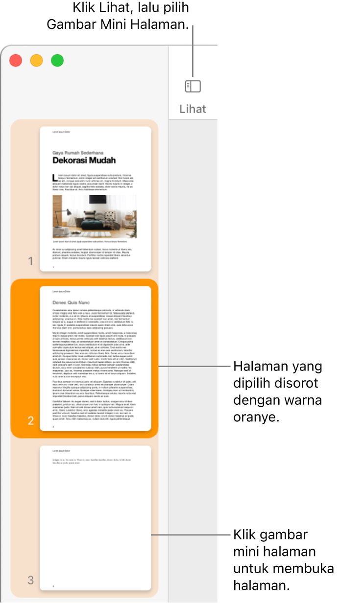Bar samping di sisi kiri jendela Pages dengan tampilan Gambar Mini Halaman dan halaman yang dipilih disorot dalam oranye tua.