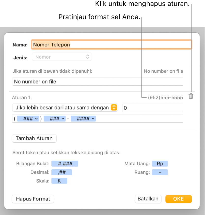Jendela format sel khusus dengan kontrol untuk memilih pemformatan angka khusus.