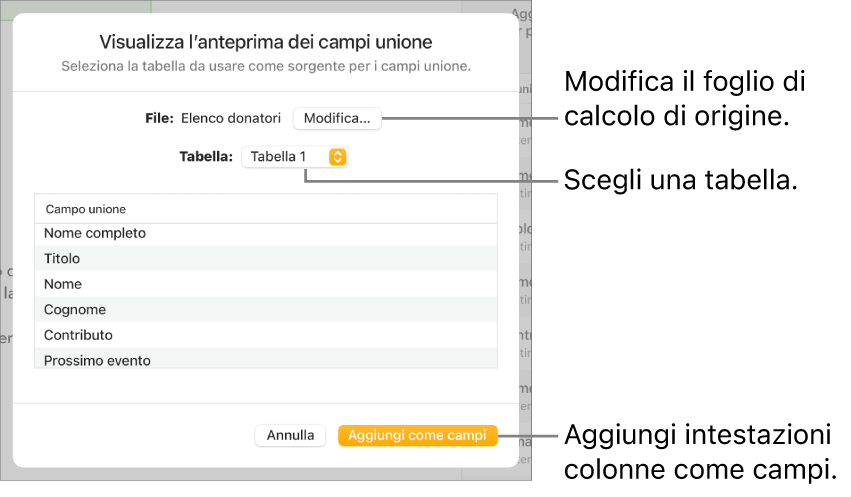 Si apre il riquadro “Anteprima campi unione”, con le opzioni per modificare il file o la tabella di origine, visualizzare l’anteprima dei nomi dei campi unione o aggiungere le intestazioni delle colonne come campi.