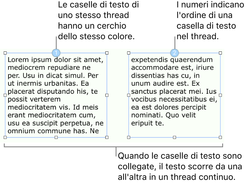 Due caselle di testo con cerchi blu nella parte superiore e i numeri 1 e 2 nei cerchi.