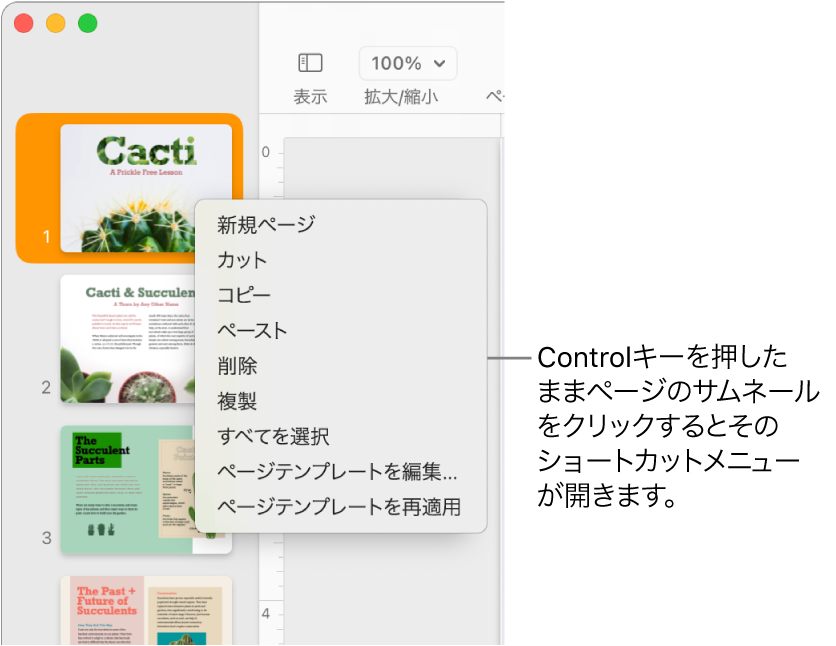 ページのサムネール表示。1つのサムネールが選択されていて、ショートカットメニューが開いている状態。