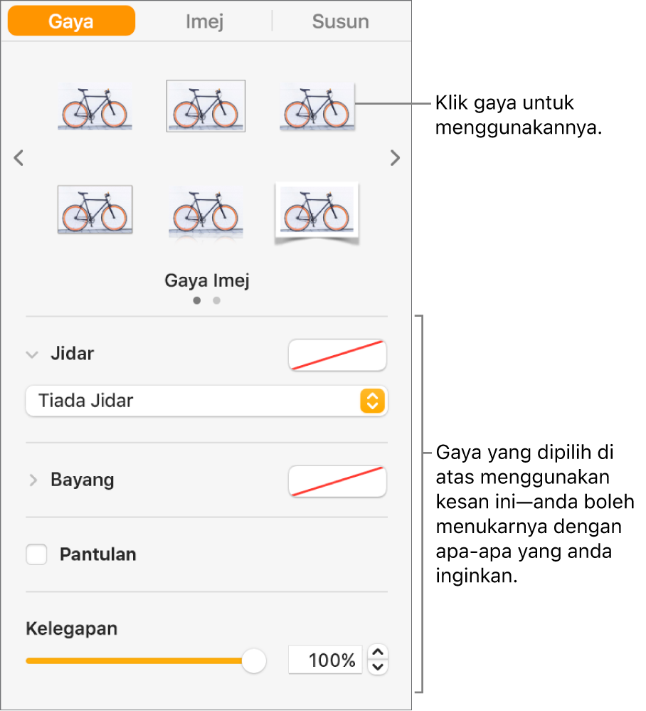 Tab Gaya pada bar sisi Format menunjukkan pilihan gaya objek.