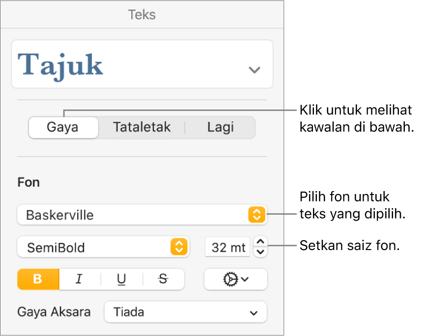 Kawalan teks dalam bahagian Gaya pada bar sisi Format untuk mengesetkan fon dan saiz fon.