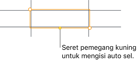 Sel yang dipilih dengan pemegang kuning yang boleh anda seret untuk mengisi auto sel.