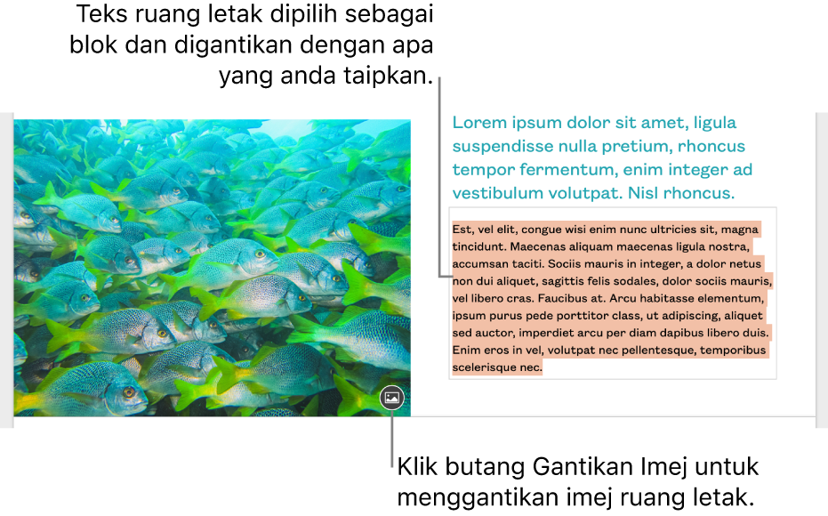Teks dan imej ruang letak.