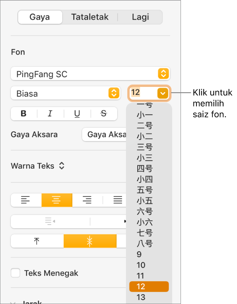 Bahagian Gaya pada bar sisi Format dengan menu timbul saiz fon dibuka. Saiz fon standard kerajaan Tanah Besar China kelihatan di bahagian atas menu timbul dengan saiz titik di bawah.
