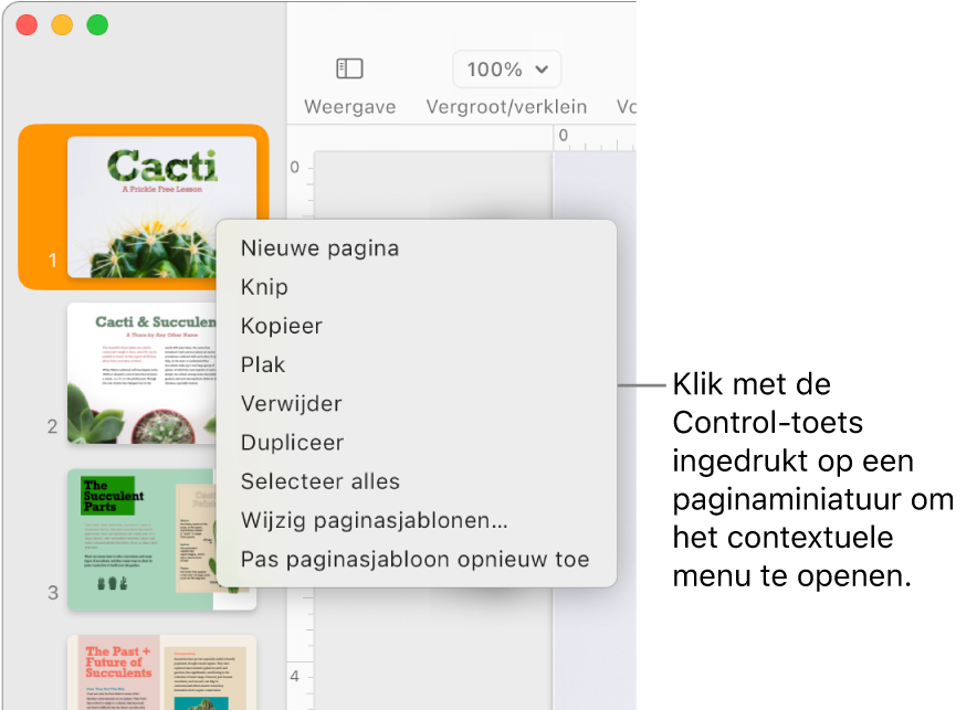 De paginaminiatuurweergave waarin een miniatuur is geselecteerd en het contextuele menu is geopend.