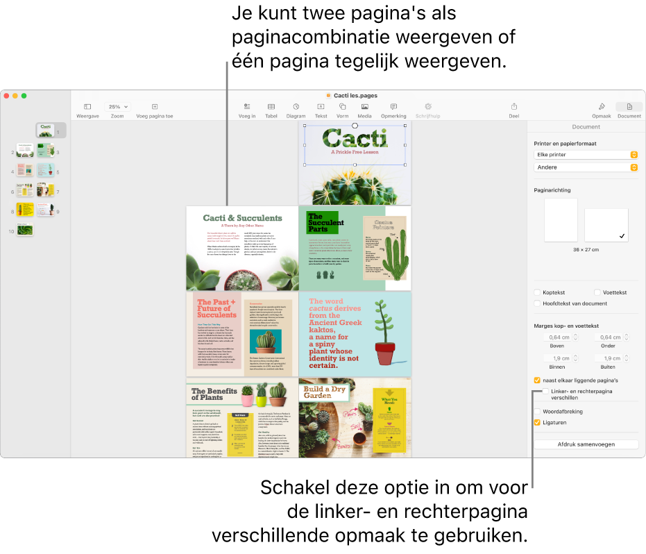 Het Pages-venster met paginaminiaturen en documentpagina's weergegeven als paginacombinatie. In de navigatiekolom 'Document' aan de rechterkant is het aankruisvak 'Linker- en rechterpagina verschillen' uitgeschakeld.