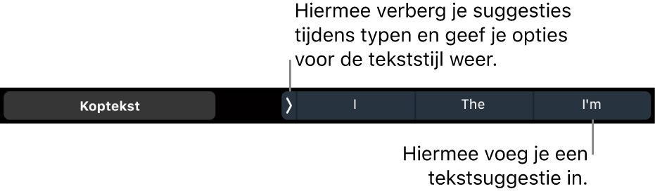 De Touch Bar op een MacBook Pro met regelaars voor het kiezen van een tekststijl, het verbergen van suggesties tijdens het typen en het invoegen van suggesties.