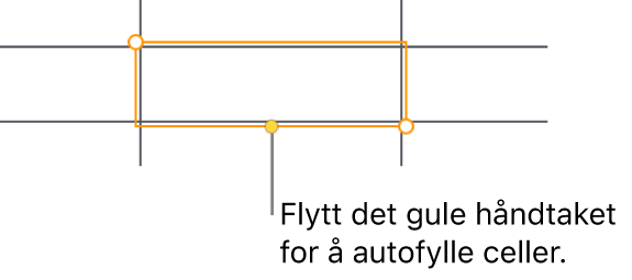En markert celle med et gult håndtak som du kan dra i for å autoutfylle celler.