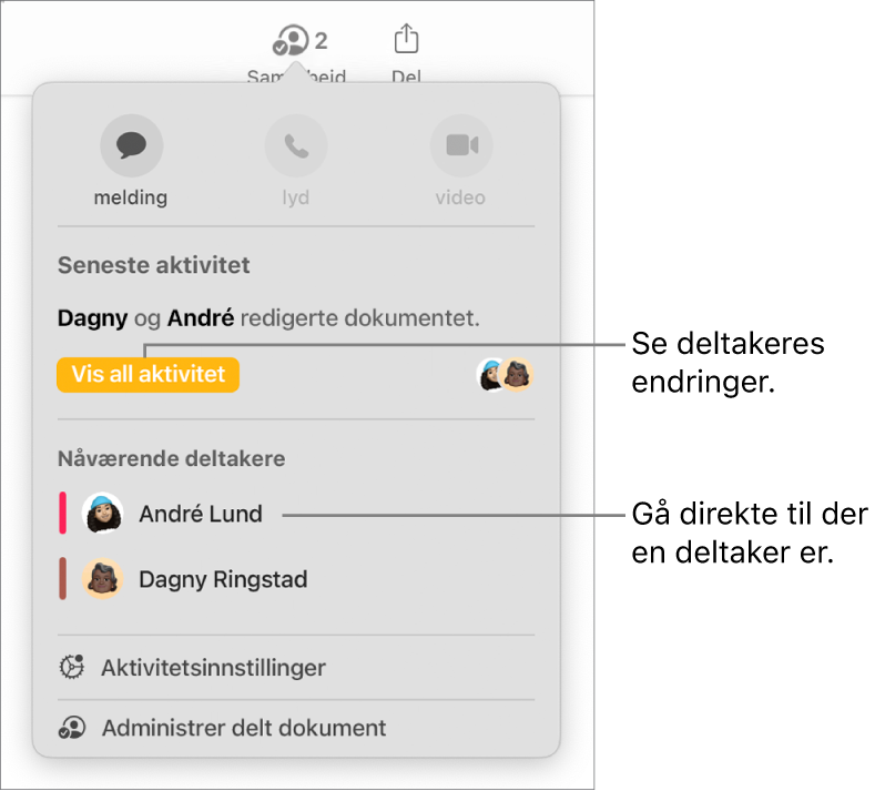 Samarbeidsmenyen, som viser to deltakere.