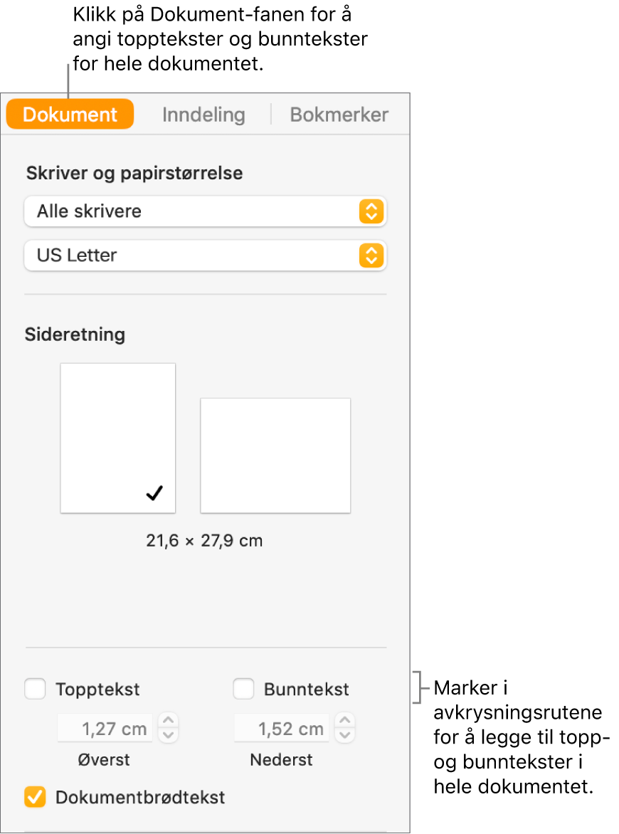 Dokument-sidepanelet med Dokument-fanen øverst i sidepanelet markert. Under avkrysningsrutene for Topptekst og Bunntekst er det piler for å endre avstanden på topptekst og bunntekst fra toppen og bunnen av siden.