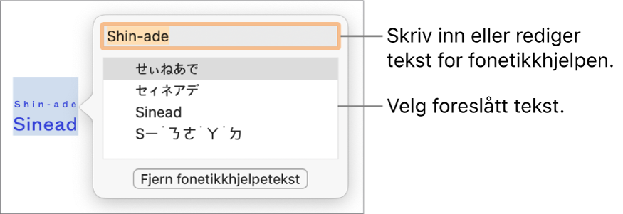 Fonetikkhjelpen er åpnet på et ord, med forklaringer for tekstfelt og foreslått tekst.
