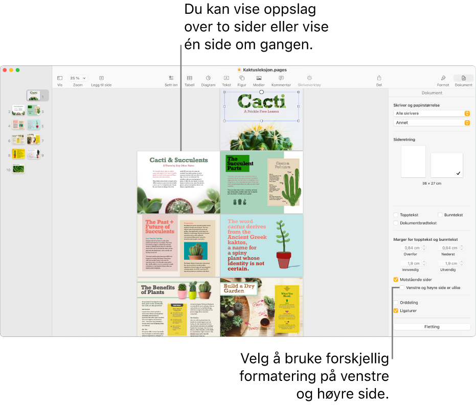 Pages-vinduet med sideminiatyrer og dokumentsider vist som tosidersoppslag. I Dokument-sidepanelet til høyre er ikke avkrysningsruten «Venstre og høyre side er ulike» markert.
