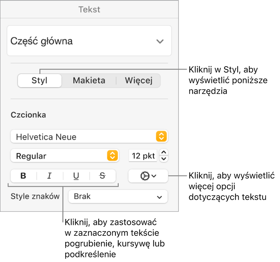 Narzędzia stylu na pasku bocznym Format z objaśnieniami wskazującymi przyciski: Pogrubienie, Kursywa, Podkreślenie oraz Przekreślenie.