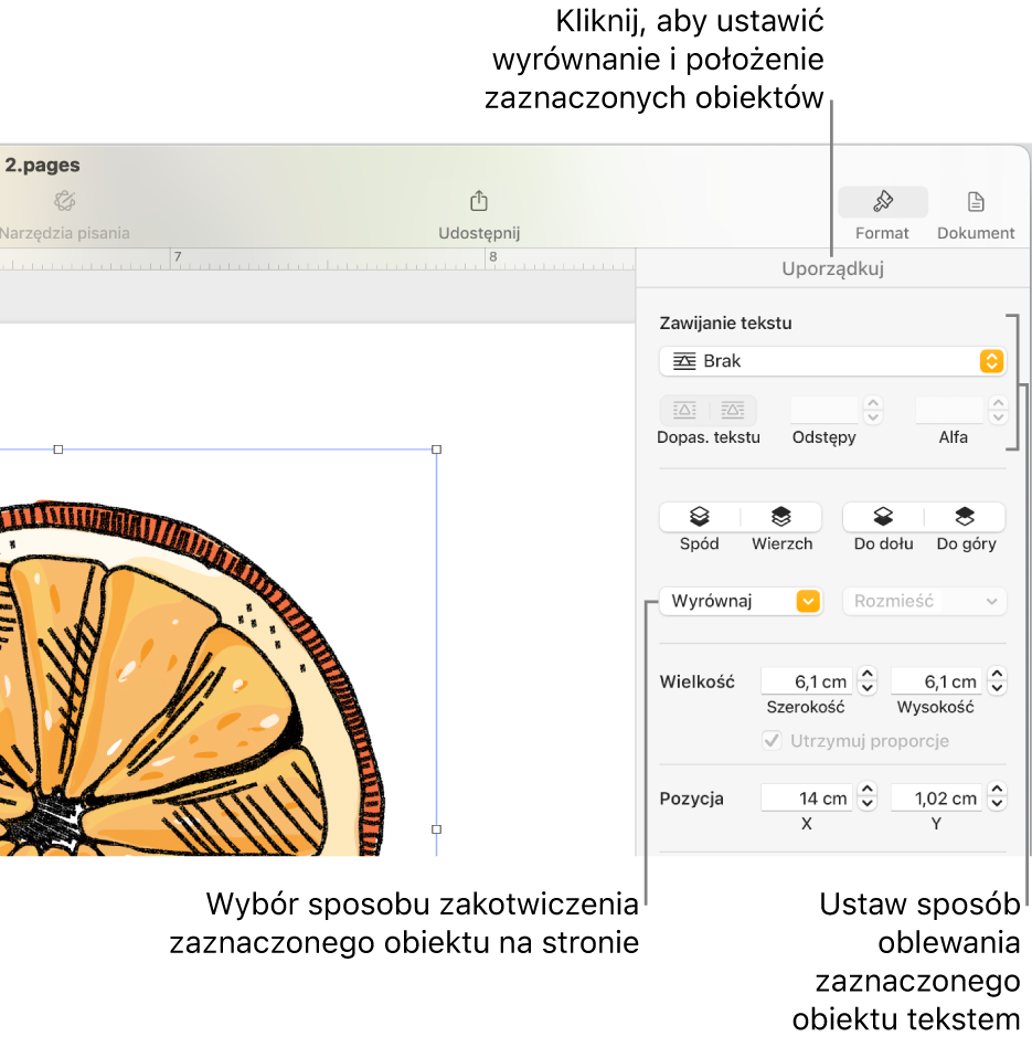 Pokazane jest menu Format z paskiem bocznym Uporządkuj. Ustawienia położenia obiektu na górze paska bocznego Uporządkuj, a poniżej ustawienia zawijania tekstu.