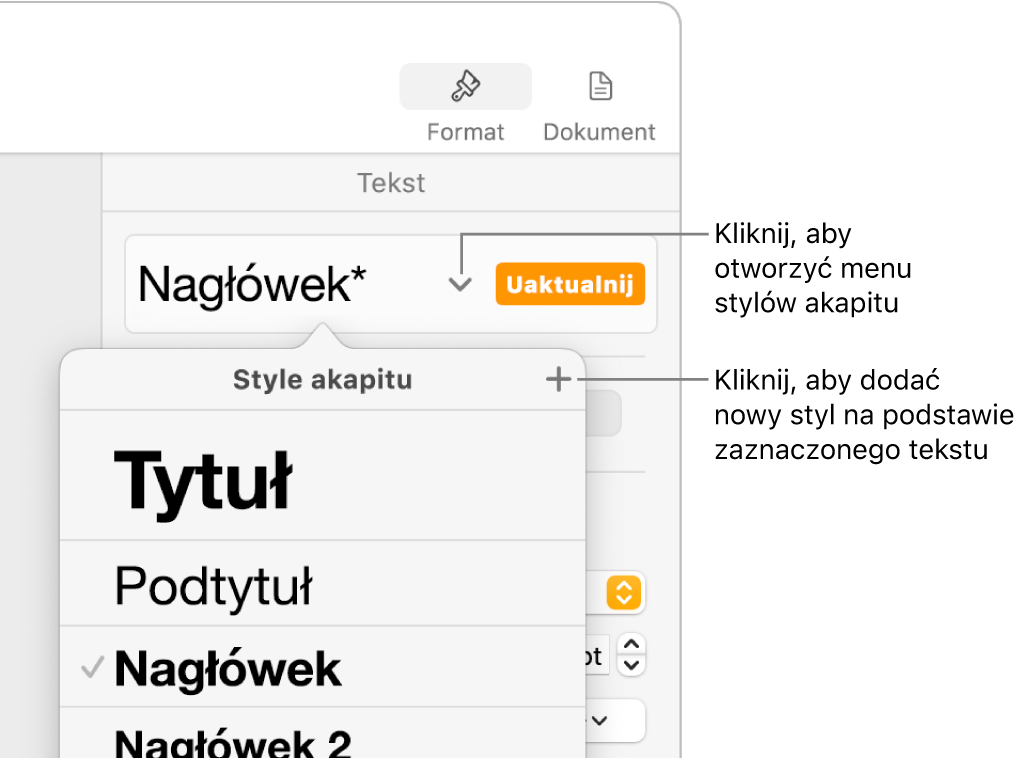Menu Style akapitu, zawierające narzędzia pozwalające na dodawanie lub zmienianie stylu.