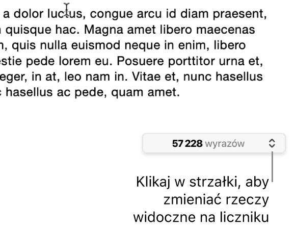 Menu pokazujące liczbę wyrazów w dokumencie.