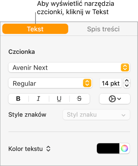 Pasek boczny Format z wybraną kartą Tekst oraz widocznymi narzędziami do zmieniania czcionki i wielkości czcionki oraz dodawania stylów znaków.