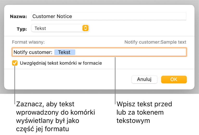 Okno własnego formatu z narzędziami wybierania własnego formatowania tekstu.