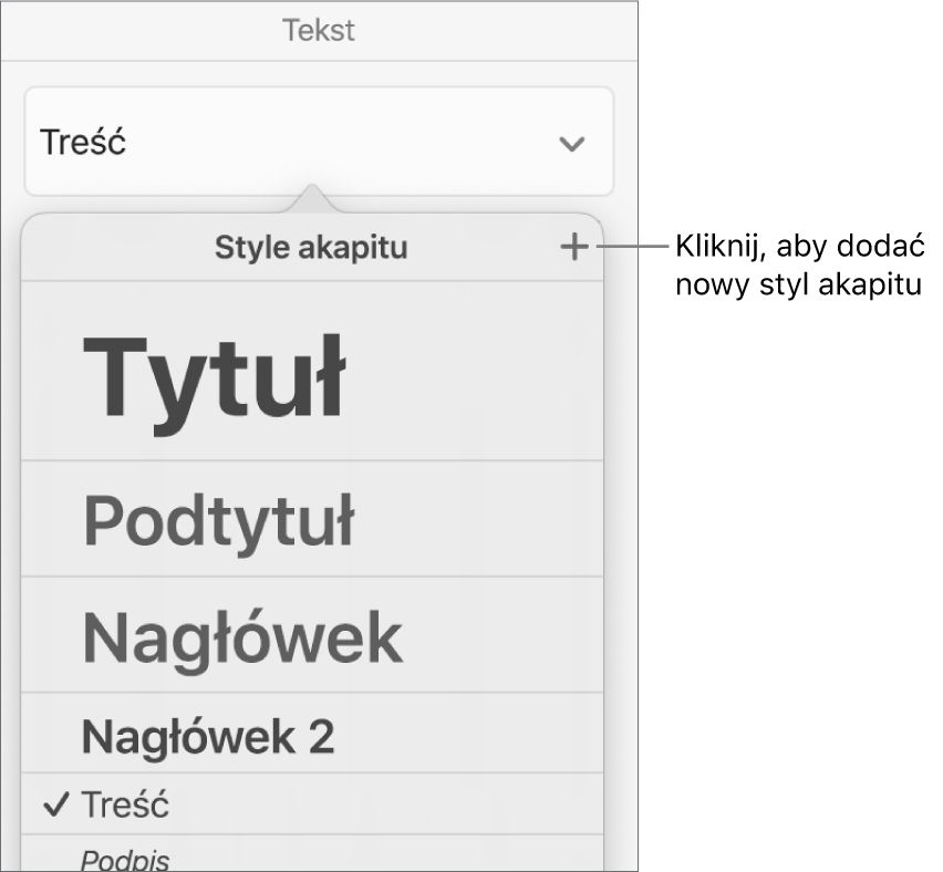 Menu Style akapitu z objaśnieniem przycisku Nowy styl.