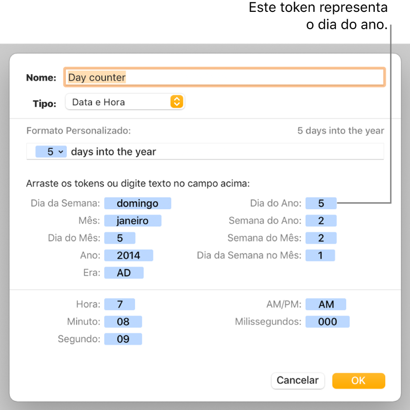 Janela de formato personalizado da célula, com controles para escolher formatação de data e hora personalizada.