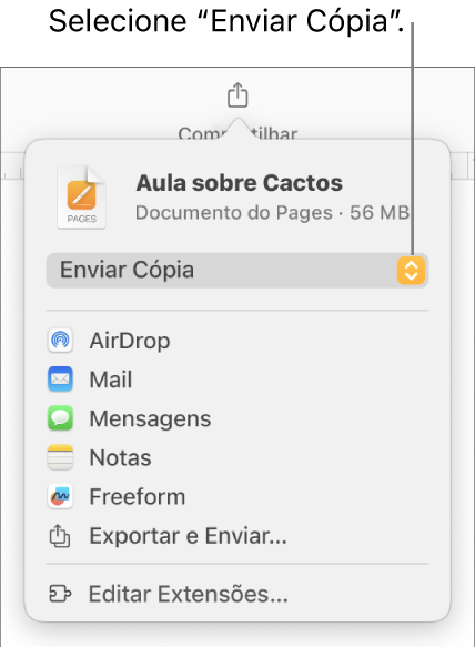 Menu Compartilhar com “Enviar Cópia” selecionado na parte superior.