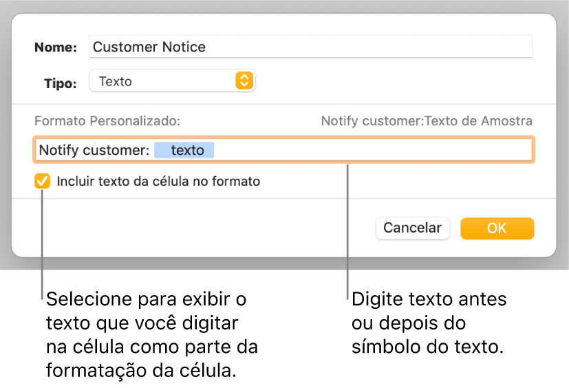 Janela de formato personalizado da célula, com controles para escolher formatação de texto personalizada.
