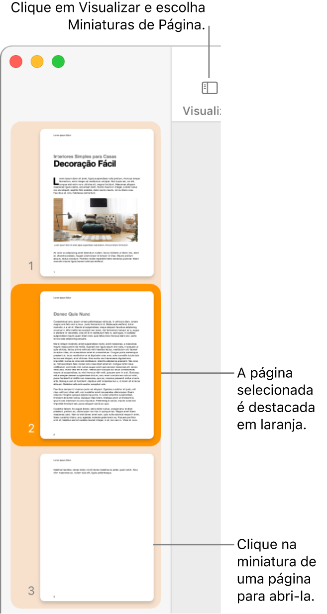 Barra lateral no lado esquerdo da janela do Pages, com a visualização de Miniaturas de Página aberta e uma página selecionada destacada em laranja escuro.