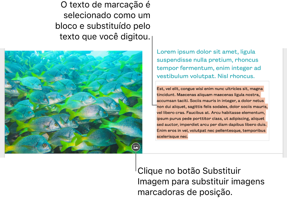 Texto e imagens do marcador de posição.