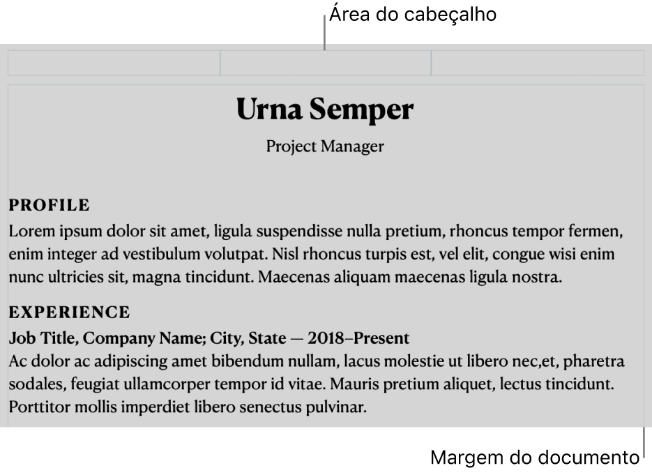 A vista “Disposição” a mostrar a área do cabeçalho e as margens do documento.