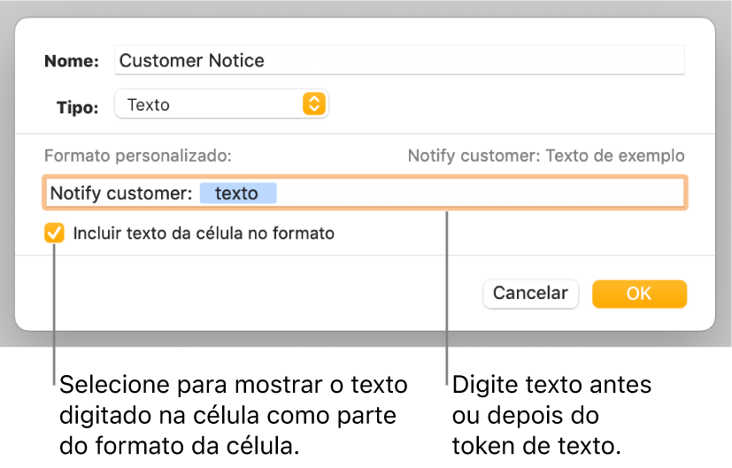 Janela de formato de célula personalizado com controlos para escolher o formato de texto personalizado.