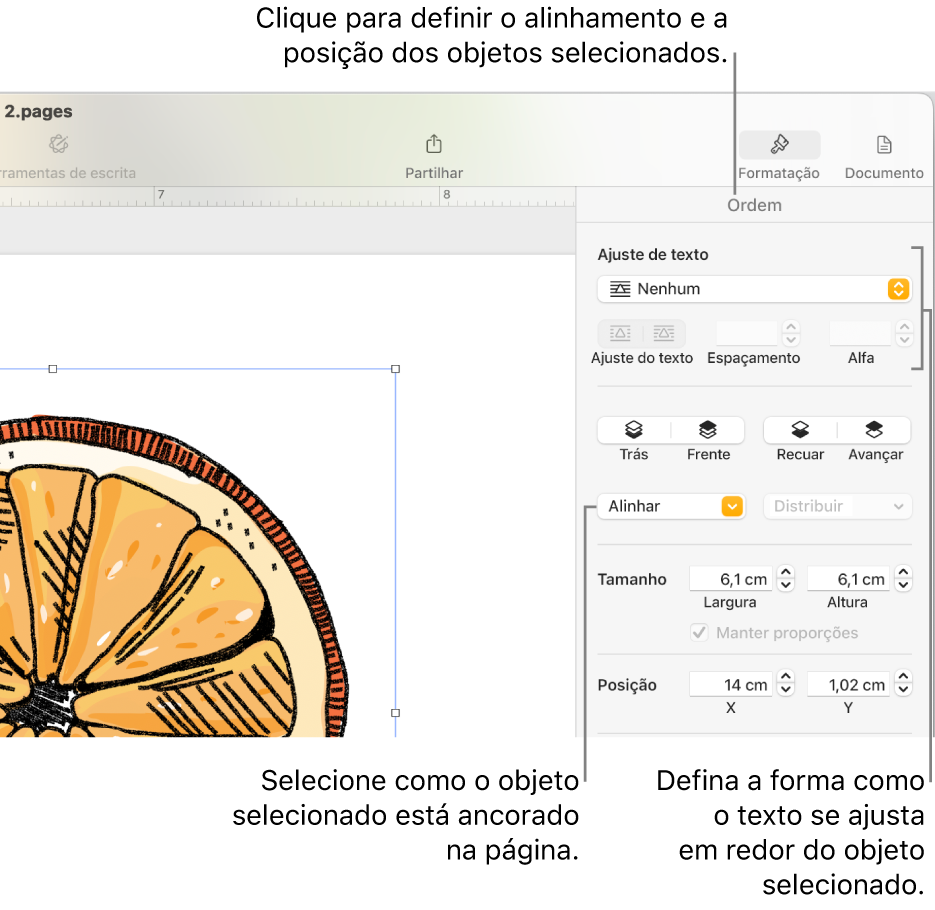 O menu “Formatação” com a barra lateral "Ordem” visível. As definições “Colocação de objeto” estão na parte superior da barra lateral "Ordem”, com as definições “Ajuste de texto” por baixo.