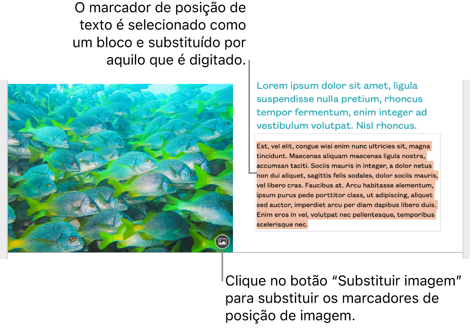 Texto e imagens do marcador de posição.