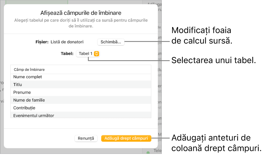 Panoul de previzualizare a câmpurilor de îmbinare este deschis, afișând opțiunile pentru schimbarea fișierului sau a tabelului sursă, previzualizarea numelor câmpurilor de îmbinare sau adăugarea anteturilor de coloane drept câmpuri.