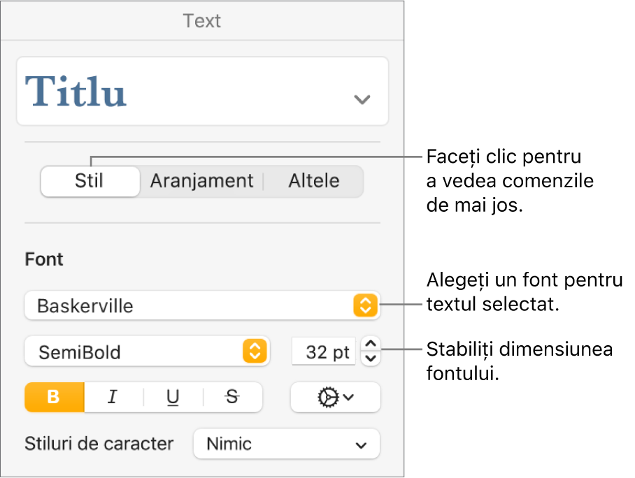 Comenzi de text din secțiunea Stil a barei laterale Format pentru configurarea fontului și a dimensiunii fontului.