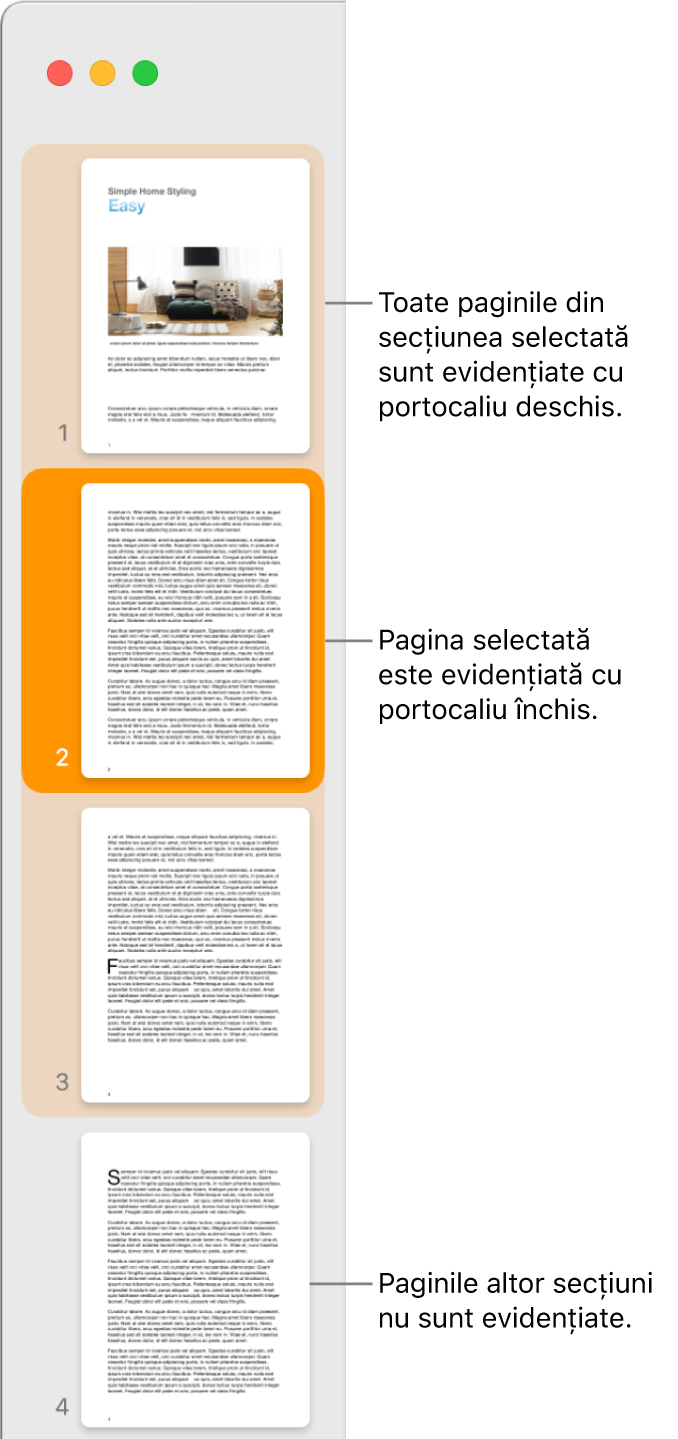 Bara laterală Vizualizare miniaturi, cu pagina selectată evidențiată cu portocaliu închis și toate paginile din secțiunea selectată evidențiate cu portocaliu deschis.