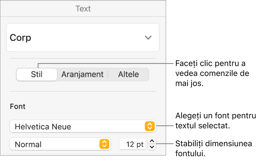Comenzi de text din secțiunea Stil a barei laterale Format pentru configurarea fontului și a dimensiunii fontului.