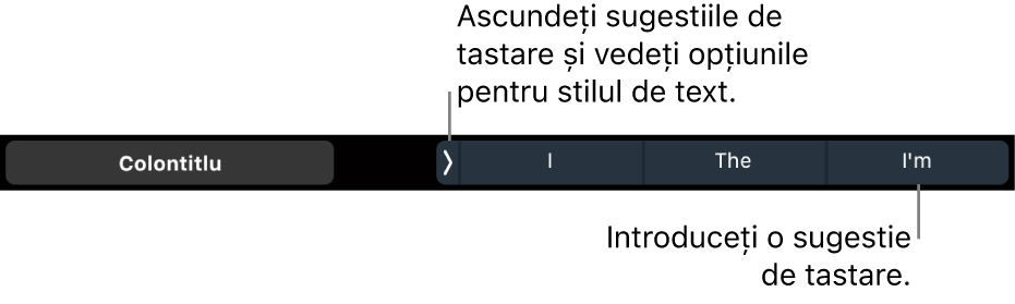 Bara Touch Bar de pe MacBook Pro, cu comenzi pentru alegerea unui stil de text, pentru ascunderea sugestiilor de scriere și pentru inserarea sugestiilor de scriere.