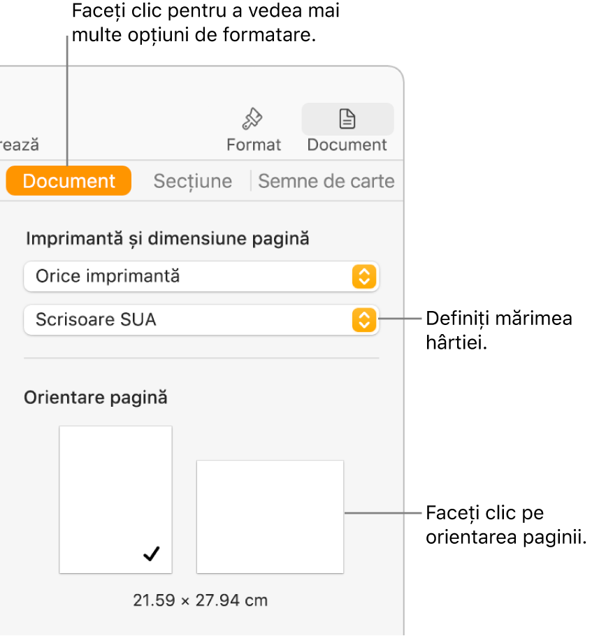 Bara laterală Document cu fila Document selectată în partea de sus a barei laterale. În bara laterală se află un meniu pop‑up pentru configurarea mărimii hârtiei și butoane pentru orientarea paginii în modul portret sau peisaj.