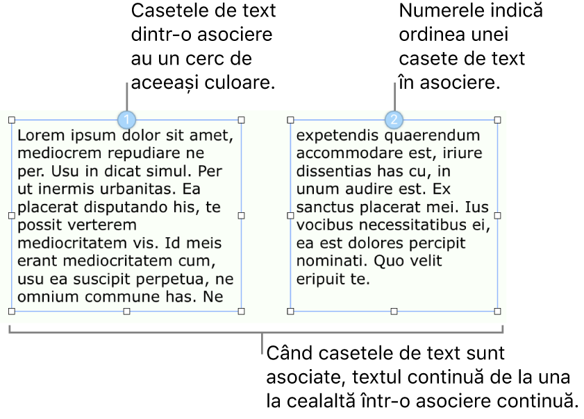 Două casete de text cu cercuri albastre în partea de sus și numerele 1 și 2 în cercuri.