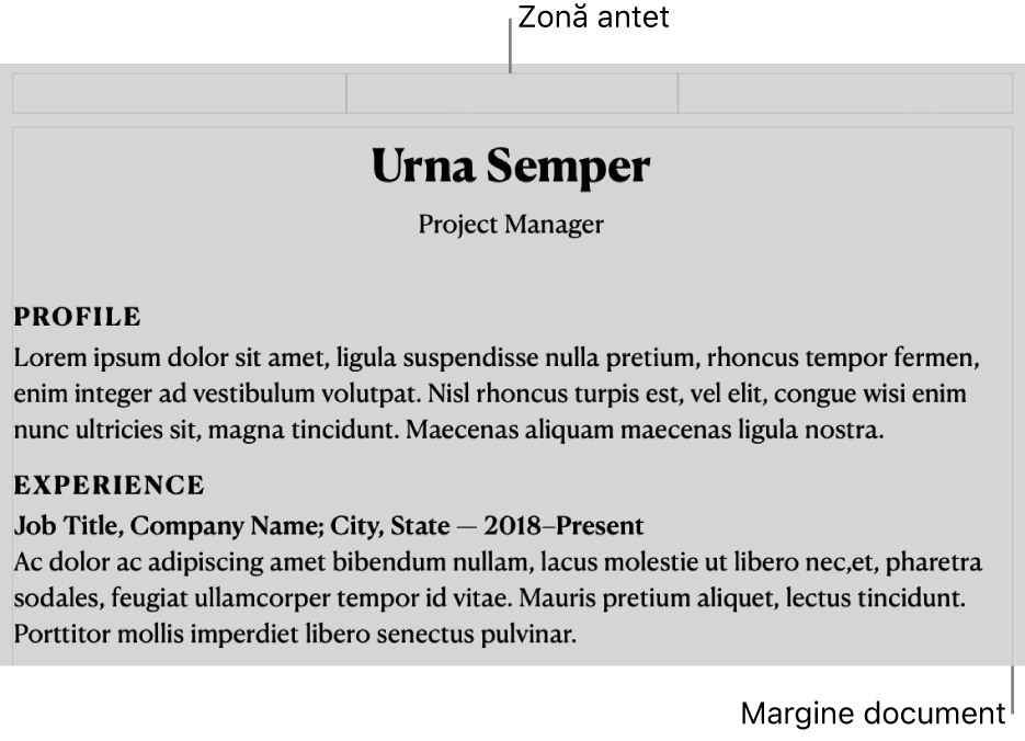 Vizualizare Aranjament afișând zona antetului și marginile documentului.