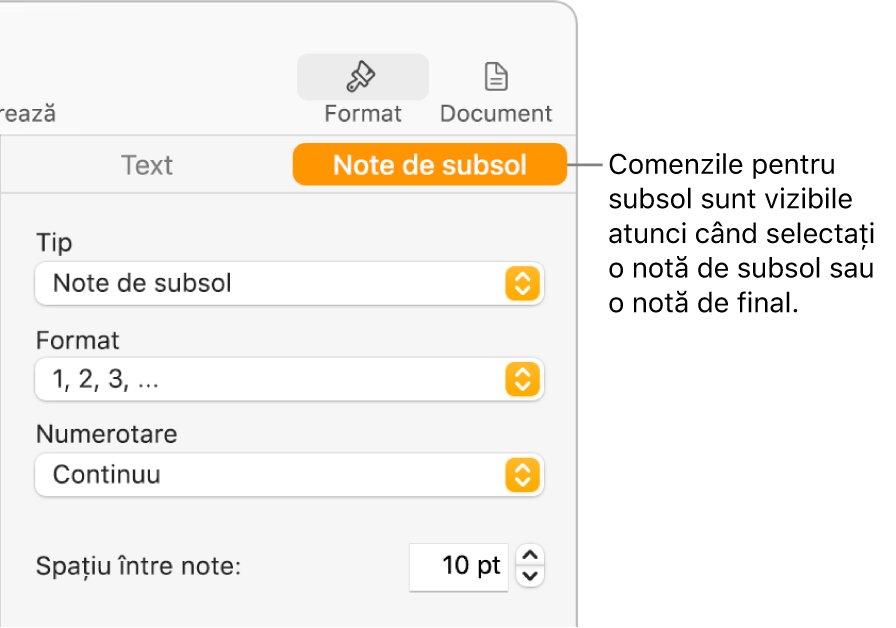 Panoul Note de subsol afișează meniuri pop-up pentru Tip, Format, Numerotare și spațiu între note.