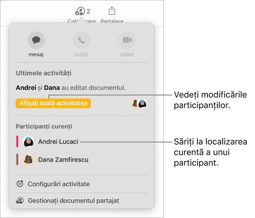 Meniul pentru colaborare cu doi participanți curenți listați.