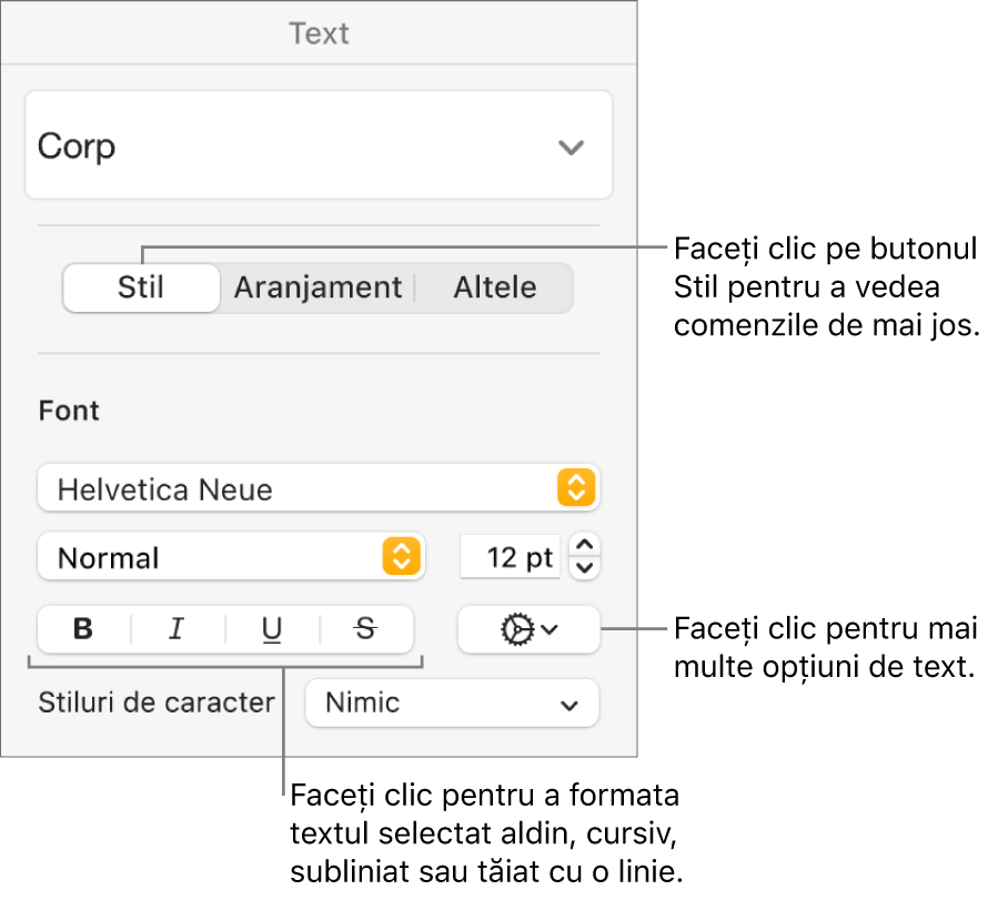 Comenzile pentru Stil din bara laterală Format cu explicații la butoanele Aldin, Cursiv, Subliniat și Tăiat cu o linie.