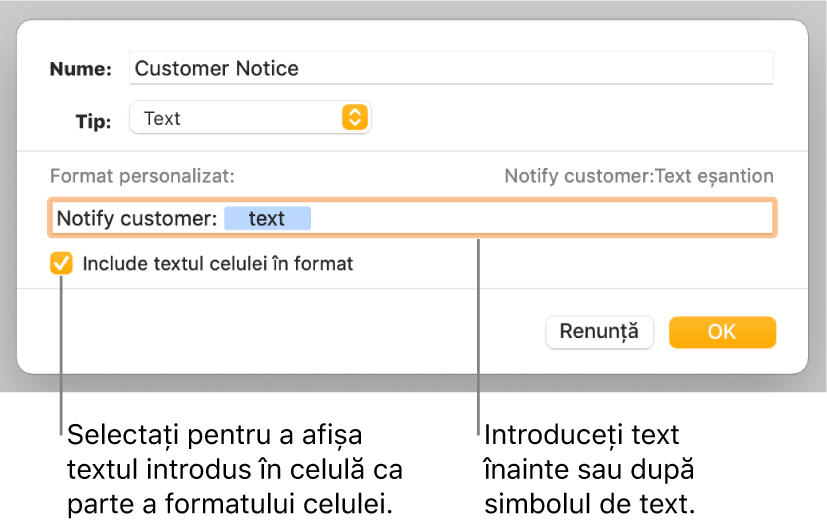 Fereastra de formatare personalizată a celulei, cu comenzi pentru alegerea formatării personalizate a textului.