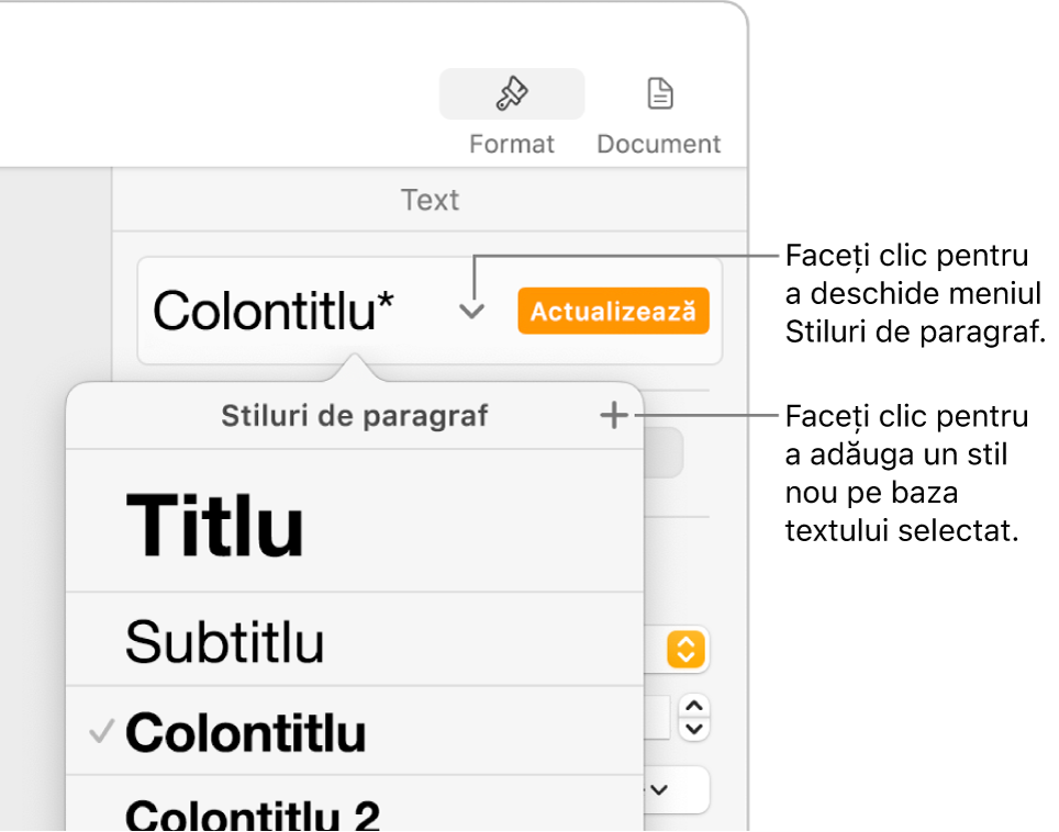 Meniul Stiluri de paragraf afișând comenzi de adăugare sau modificare a unui stil.