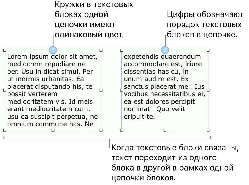 Два текстовых блока с синими кружками вверху и числами 1 и 2 в кружках.