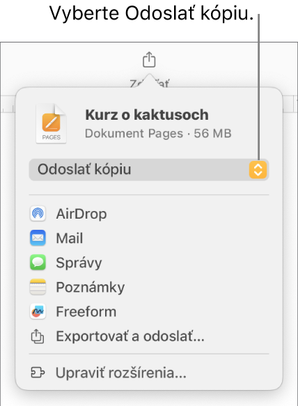 Menu Zdieľať s vybranou možnosťou Odoslať kópiu vo vrchnej časti.